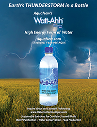 Earth's thunderstorm in a bottle